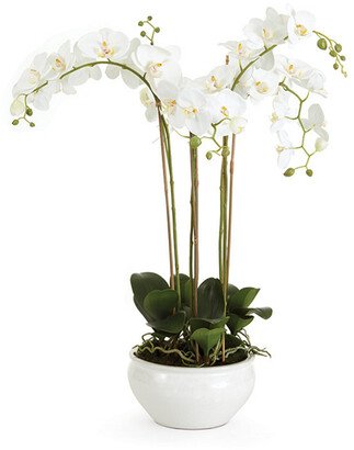 Napa Home & Garden Barclay Butera Phalaenopsis In Ceramic Bowl-AA