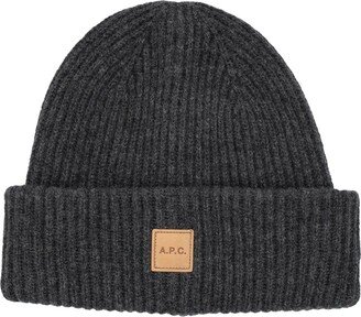 Michelle Logo-Patch Knitted Beanie-AD