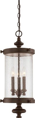 Palmer 3-Light Outdoor Hanging Lantern in Walnut Patina