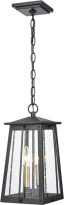 Artistic Home & Lighting Artistic Home Kirkdale 9'' Wide 2-Light Outdoor Pendant-AA