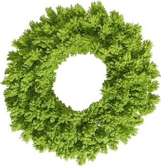 Flocked Lime Fir Artificial Christmas Wreath, Unlit