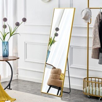 Metal Frame Wall Mounted Full Body Mirror - 63*20