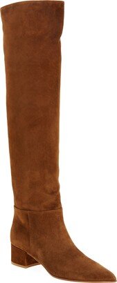 Pointed Toe Over the Knee Boot