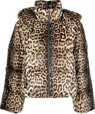 Leopard-Print Padded Jacket