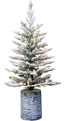 Puleo 3' Pre-Lit Potted Flocked Arctic Fir Tree