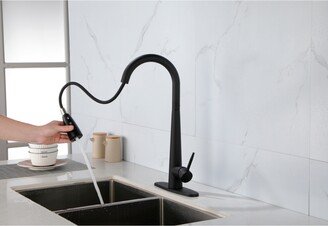 Simplie Fun Black Kitchen Faucets with Pull Down Sprayer, Kitchen Sink Faucet with Pull Out Sprayer, Fingerprint Resistant, Single Hole Deck Mount, Single Handle