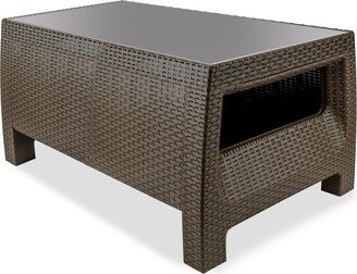 Plastique Coffee Table