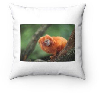 Tamarin Monkey Pillow - Throw Custom Cover Gift Idea Room Decor