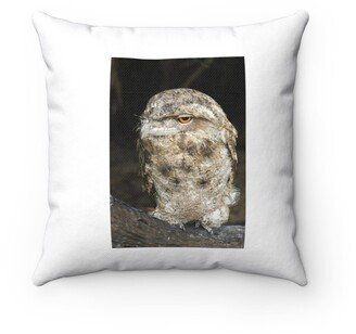 Papuan Frogmouth Pillow - Throw Custom Cover Gift Idea Room Decor