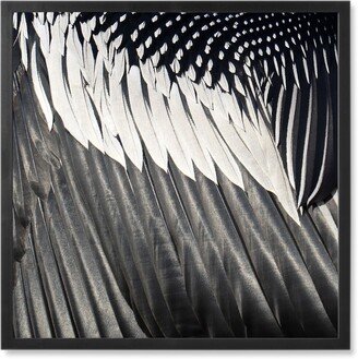 Photo Tiles: Micro View Feathers Photo Tile, Black, Framed, 8X8, Gray