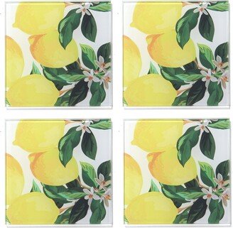 4 X 4 Meyer Lemons Glass Coasters Set, 4 Piece