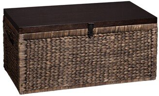 Southern Enterprises Water Hyacinth Storage Trunk