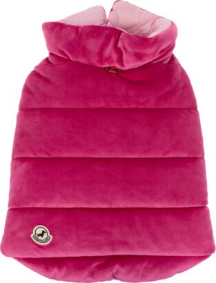 MONCLER POLDO DOG COUTURE Unisex - Pink-AA