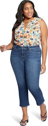 Plus Size Marilyn Ankle in Dimension (Dimension) Women's Jeans