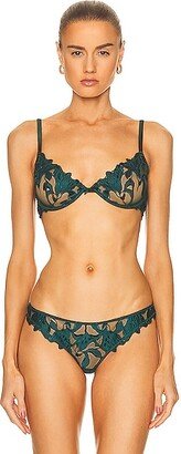 Lily Embroidery Plunge Demi Bra in Green