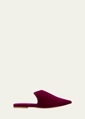 Pasha Velvet Slipper