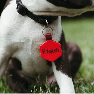 Lifekey Fetch Smart Pet Tag