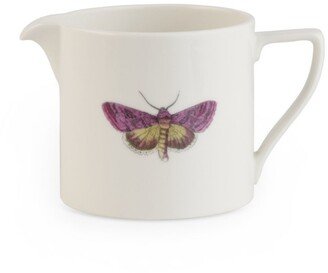 Botanic Garden Harmony 1 Pint Jug Meadow Saffron Butterfly