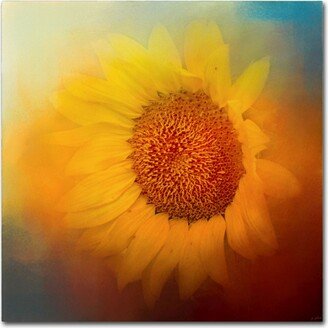 Jai Johnson 'Sunflower Surprise' Canvas Art - 14 x 14 x 2
