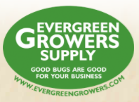 Evergreen Promo Codes & Coupons