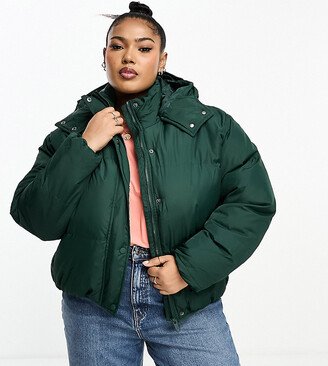 Brave Soul Plus bunny hooded puffer jacket in forest green