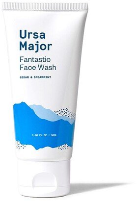 Travel-Size Fantastic Face Wash Cleanser