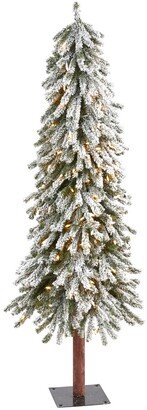 Flocked Grand Alpine Artificial Christmas Tree with Lights and Bendable Branches On Natural Trunk, 60