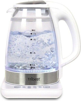 Raw Tea Kettle Glass Electric Brewing System – White