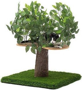 On2Pets Square Cat Tree - Small - Green