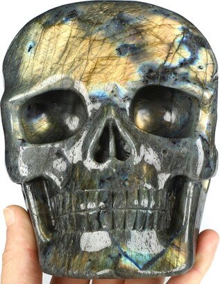 Skullis Crystal Skull, 5.7 Labradorite Skull Sculpture, Collectible Fine Art Gift