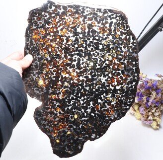 Beautiful Sericho Pallasite Meteorite Slice - From Kenya D3600