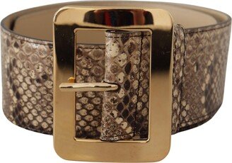 Brown Exotic Wide Waist Leather Gold Metal Buckle Women's Belt