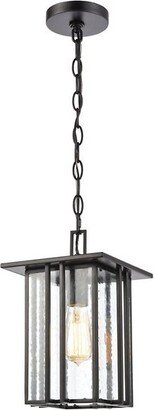 Elk Home Radnor Outdoor Pendant Light