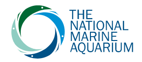 National Marine Aquarium Promo Codes & Coupons