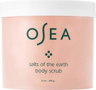 Salts of the Earth Body Scrub