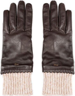 Jamie Gloves