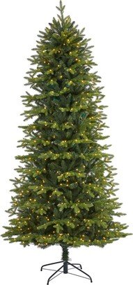 Belgium Fir Natural Look Artificial Christmas Tree with Lights, 96