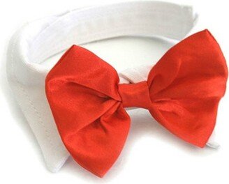 Doggie Design White Collar with Red Satin Bow Tie (Large)