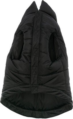 DSQ2 logo puffer pet coat