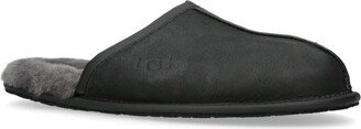 Suede Scuff Slippers-AA