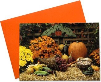 Signature Cards Thanksgiving Greeting Card Box Set of 25 Cards & 26 Envelopes - HT100