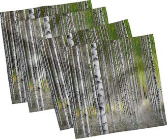 Birch Tree Set of 4 Napkins, 12 x 12