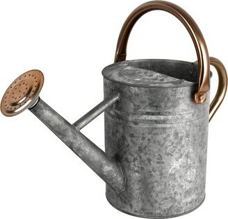 Homarden Watering Can - Metal Watering Can with Removable Spout, Perfect Plant Watering Can for Indoor and Outdoor Plants - Ideal Gift & Home or Garde