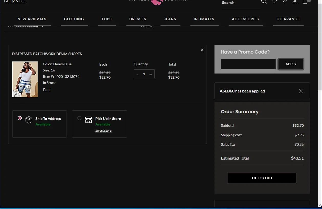 where to use Ashley Stewart promo code box