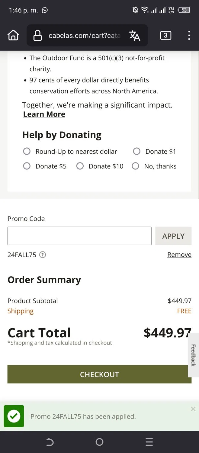 where to use Cabelas promo code box