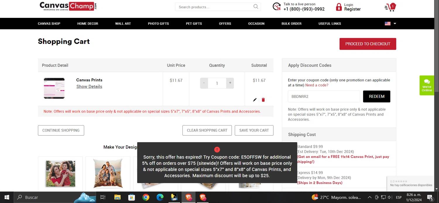 where to use Canvas Champ promo code box