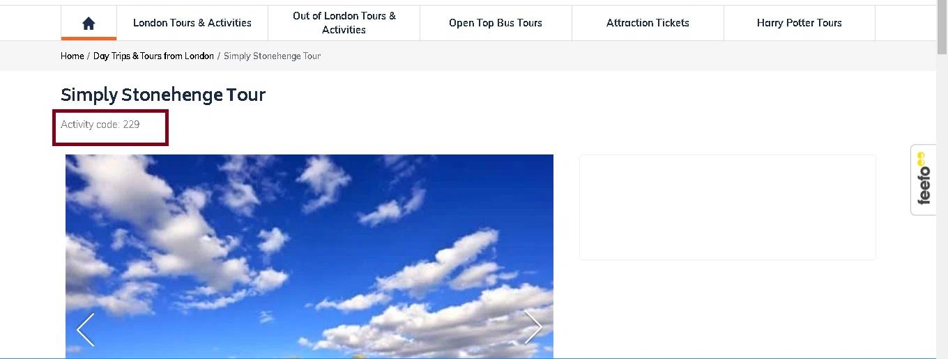 where to use Golden Tours promo code box