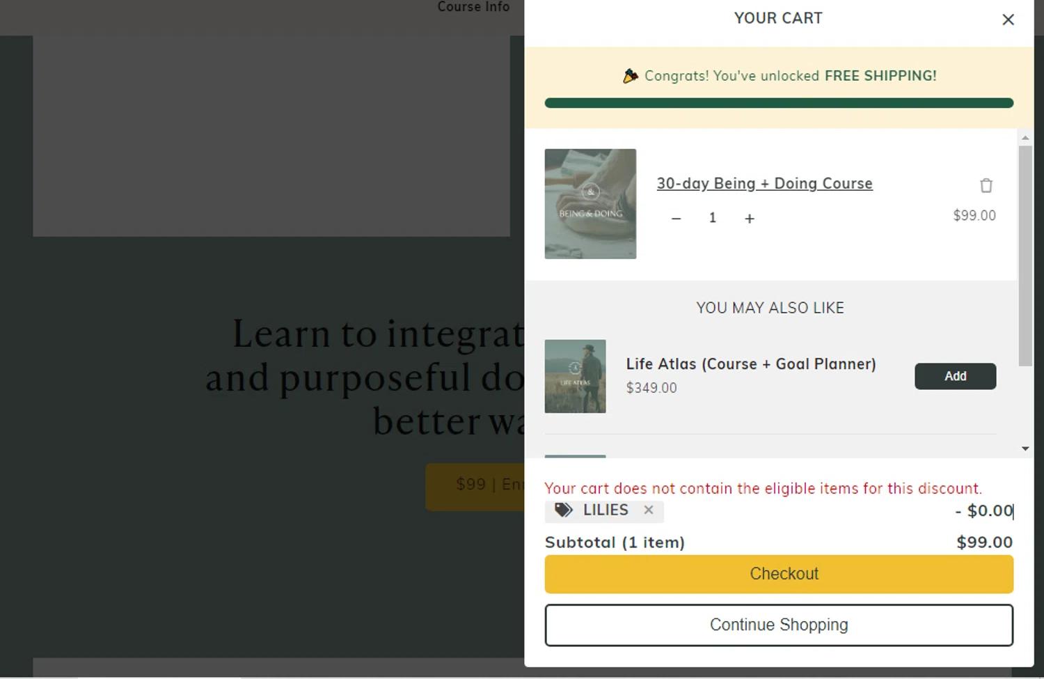 where to use Monk Manual promo code box