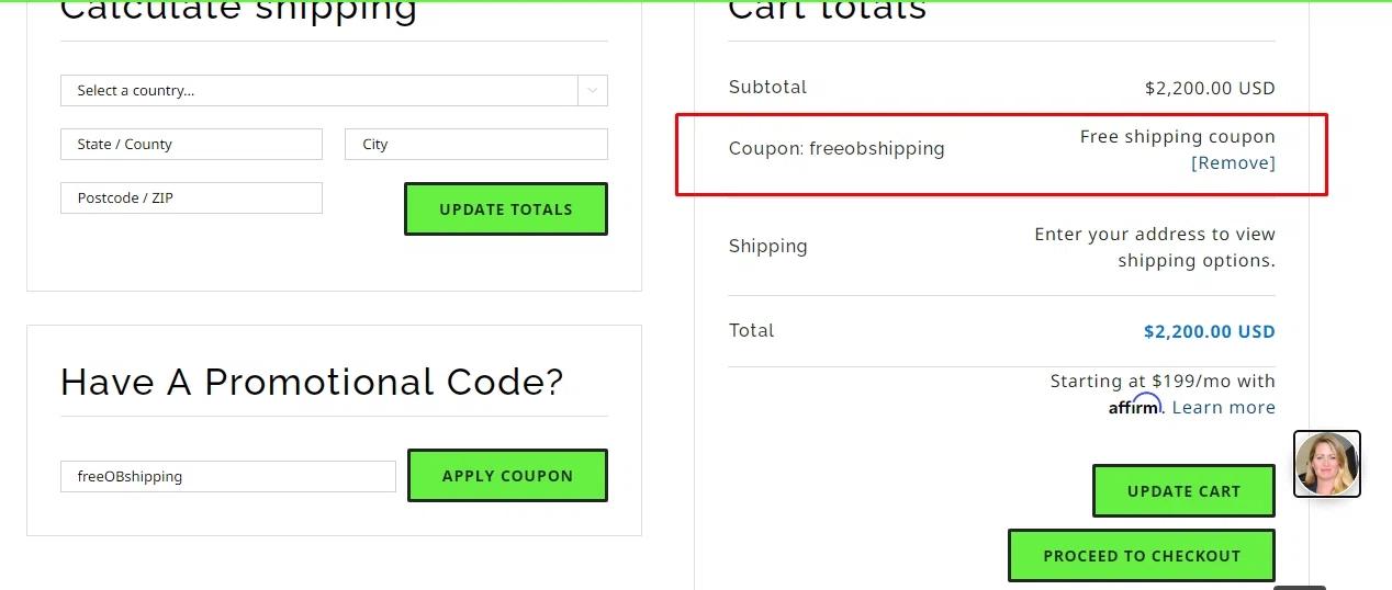 where to use Oar Board promo code box