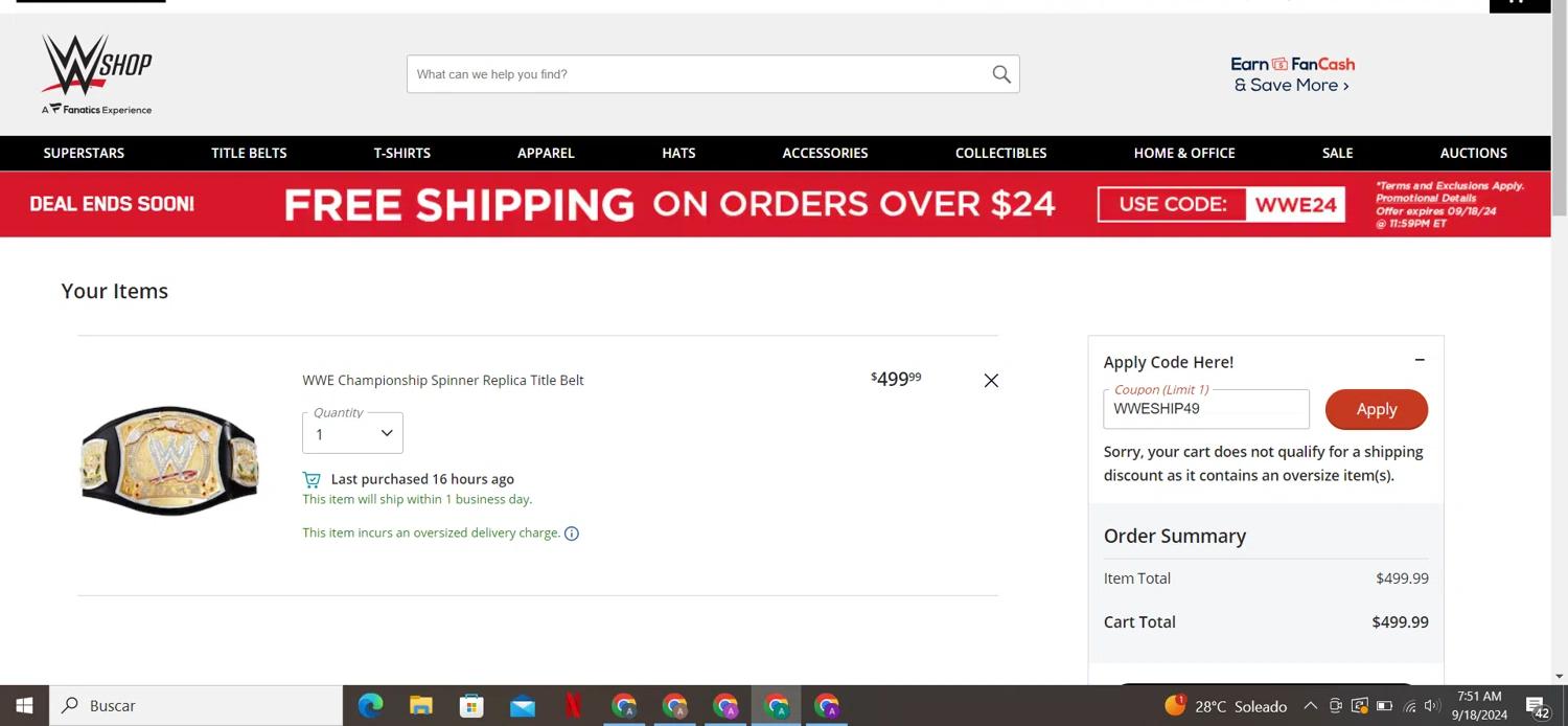 where to use WWE Shop promo code box